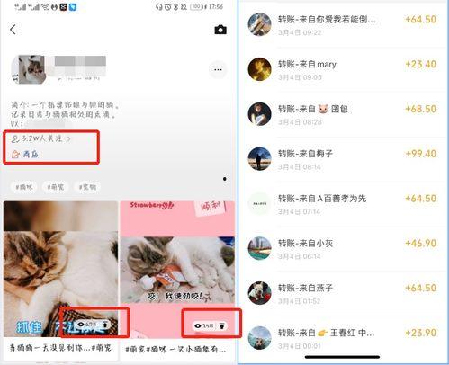 卖货真实爆料视频,揭秘带货主播的“带货术”